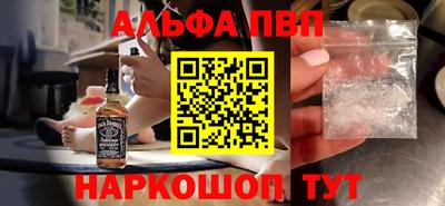 индика Сланцы
