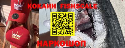 индика Сланцы