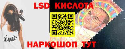 индика Сланцы