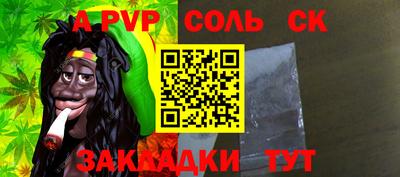 индика Сланцы