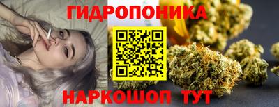 мяу мяу мука Славянск-на-Кубани