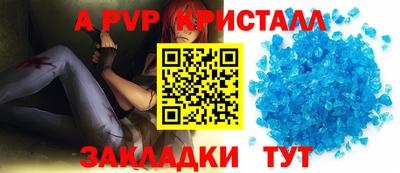 индика Сланцы