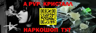 индика Сланцы